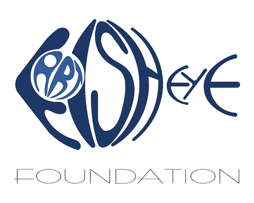 Fish Eye Art Cultural Foundation logo