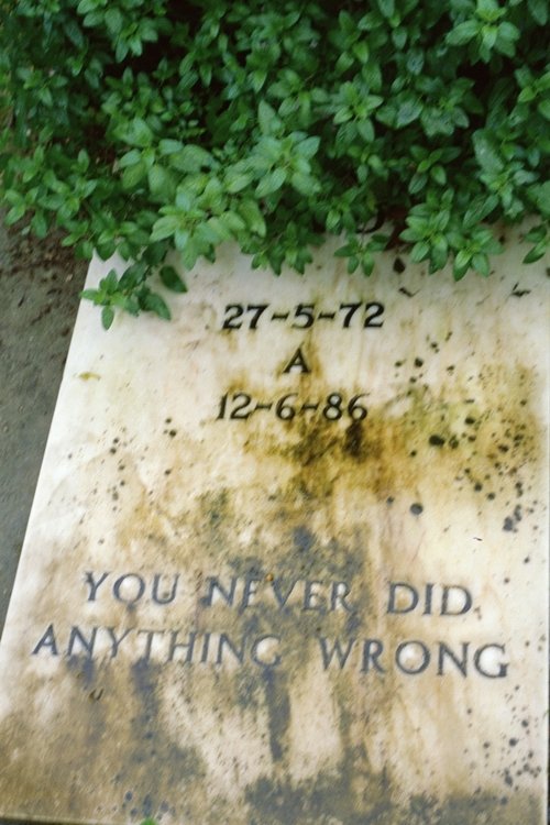 You never did anything wrong