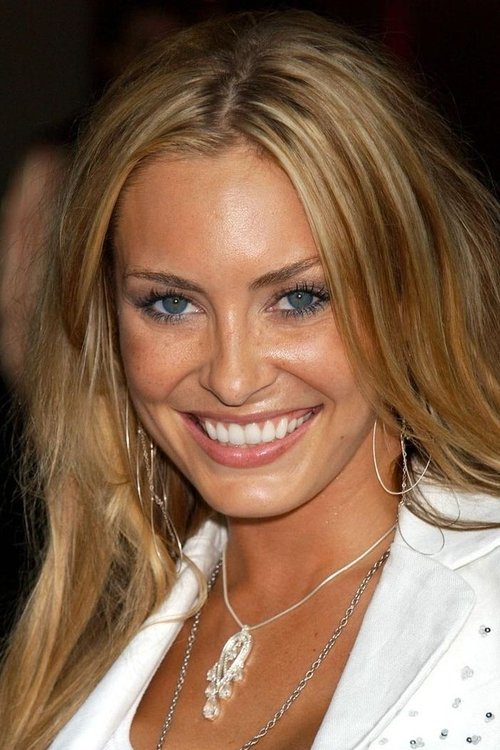 Bobbi Sue Luther as Hot Airline Attendant