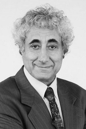 Sam Moses as Goldberg