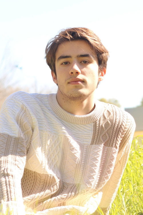 Santiago Presencio Triano as Luis