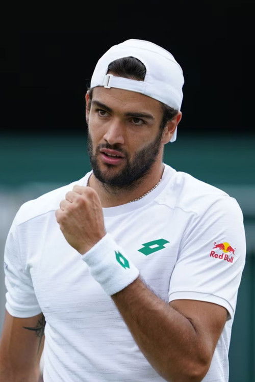 Matteo Berrettini as Self