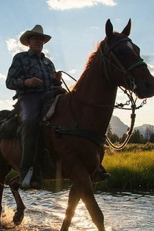 Father Nature poster