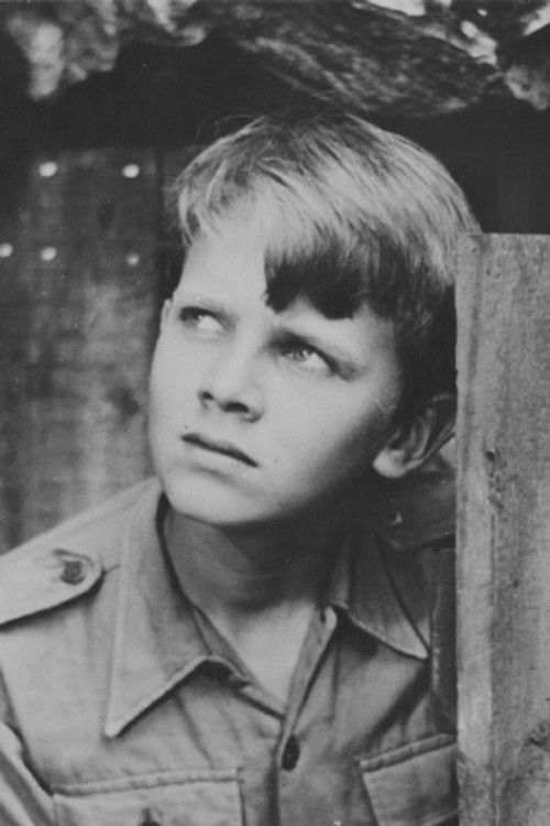 Olle Johansson as Kalle Blomkvist