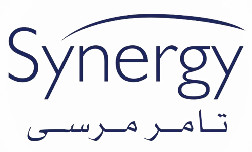 Synergy logo