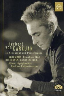 Karajan in Rehearsal poster