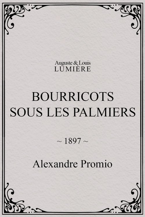 Bourricots sous les palmiers poster