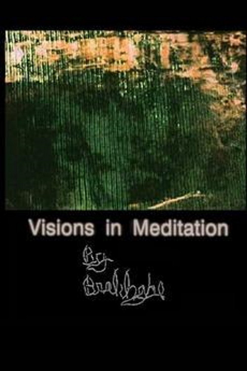 Visions in Meditation poster