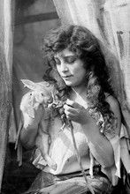 Beatriz Michelena as Salomy Jane Clay