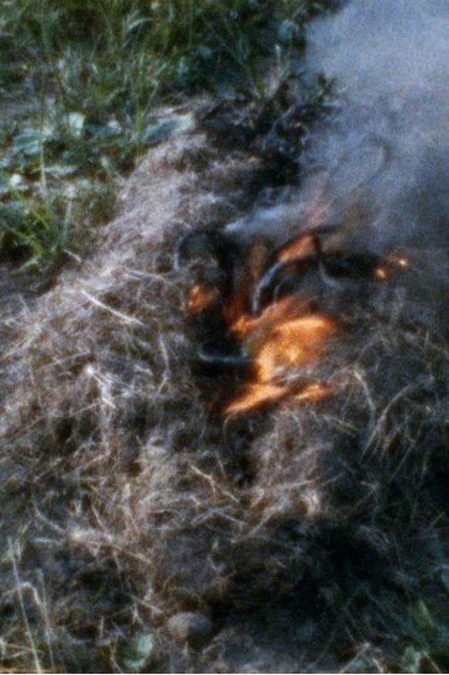 Untitled: 'Silueta' Sequence No. 3