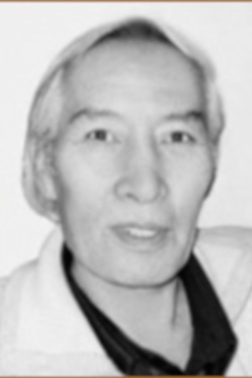 Yergali Urasimbetov as князь Фудзимури