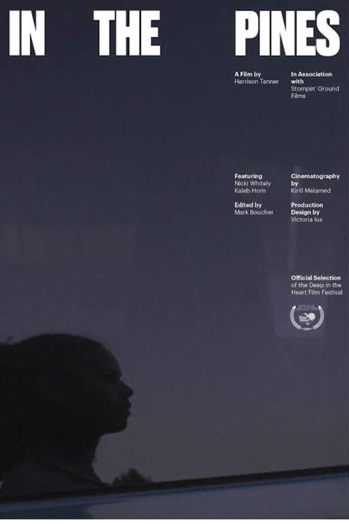 In the Pines poster