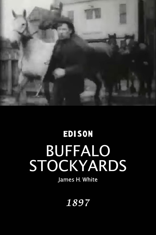 Buffalo Stockyards