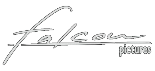 Falcon Pictures logo