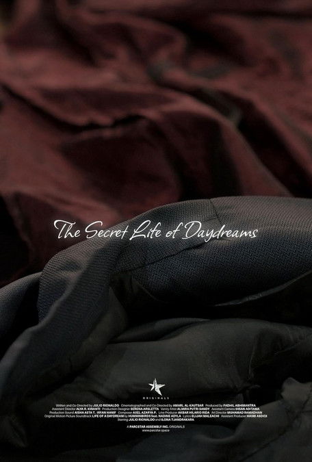 The Secret Life of Daydreams poster