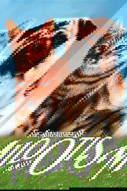 The Adventures of Milo and Otis poster