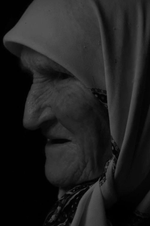 The Impact of the Moon