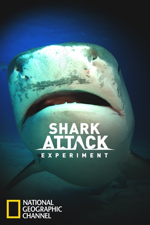 Shark Attack Experiment Live poster