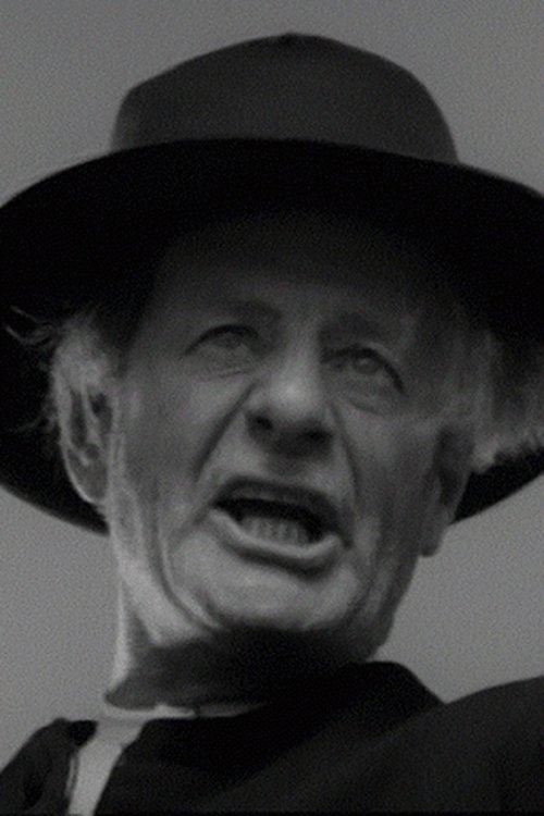 Frank Bolger as Mr. Franklin