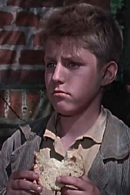 Gerald Schraml as Johannes Bärensprung