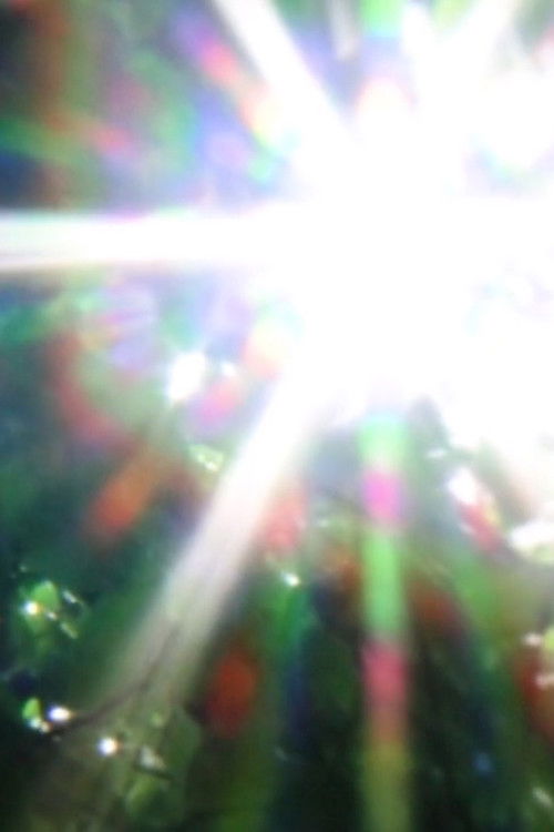 you can't plan a perfect day sometimes it just happens