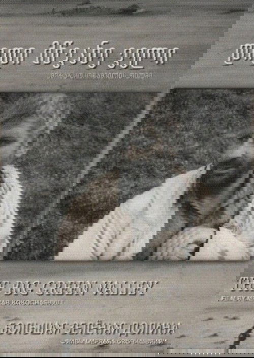 Great Green Valley poster