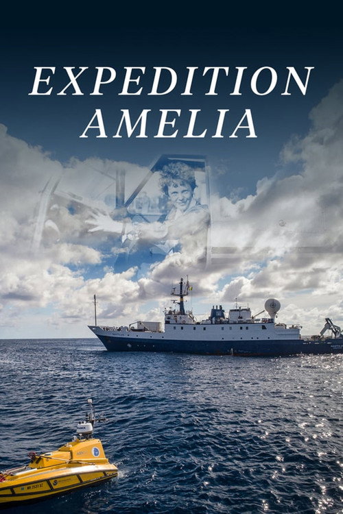 Expedition Amelia poster