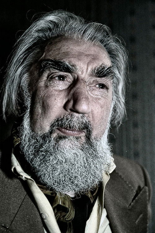 Michał Żołnierkiewicz as Passenger (uncredited)