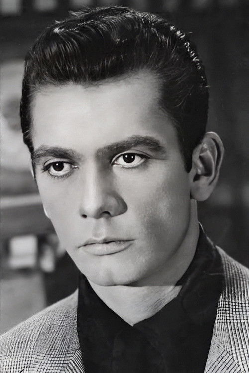 Saleh Selim as Hussein Amer
