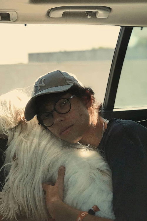 Bardim Afonso as Martim