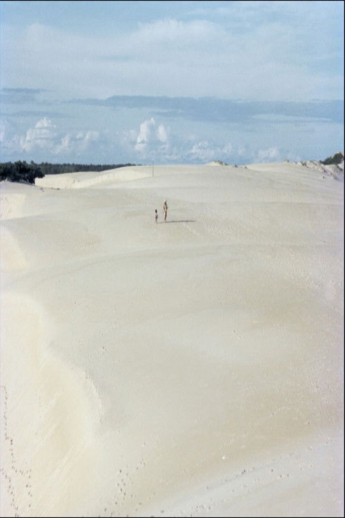 Itaúnas: Ecological Disaster