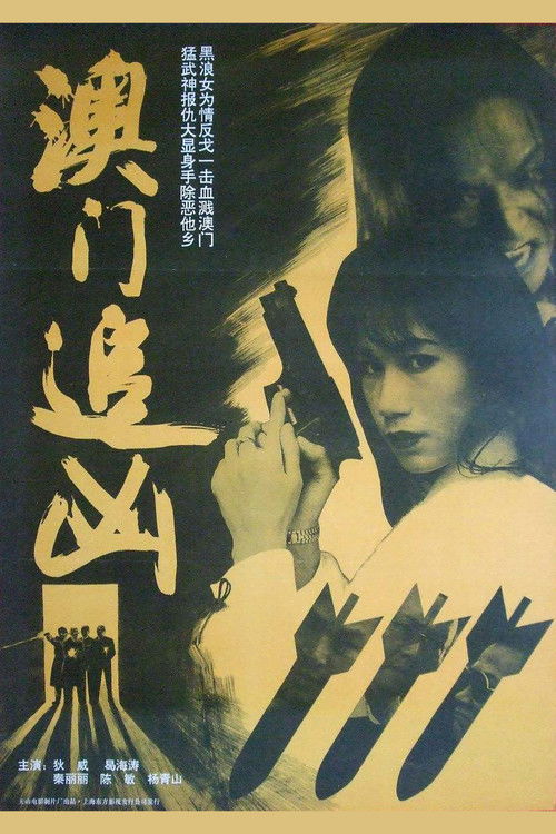 澳门追凶 poster