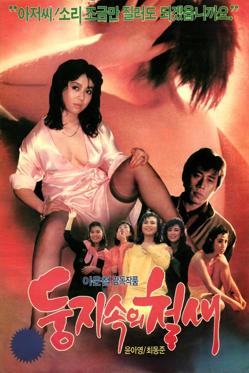 A Migrant Bird in a Nest