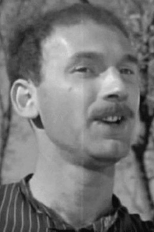 Georgiy Babushkin as Mower