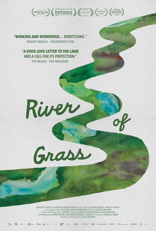 River of Grass poster