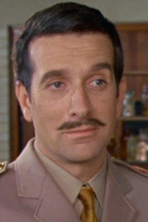 Nicholas Courtney as Brigadier Lethbridge-Stewart