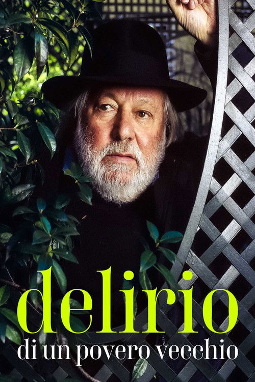 Delirio di un povero vecchio (2001) poster