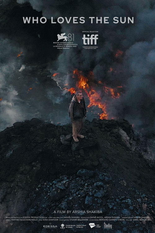 Who Loves the Sun poster