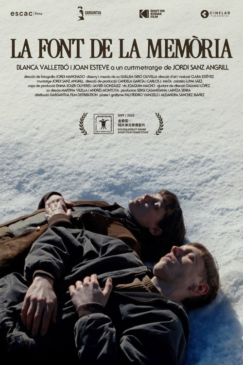 The Fountain of Memory