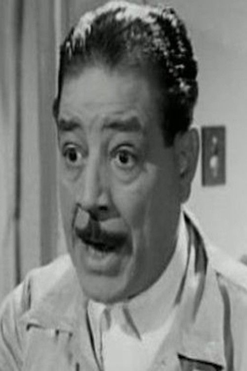 Zaki Mohamed Hassan as الحرامى