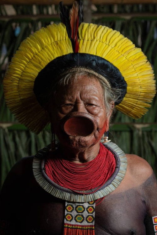 Raoni Metuktire as Self (archive footage)