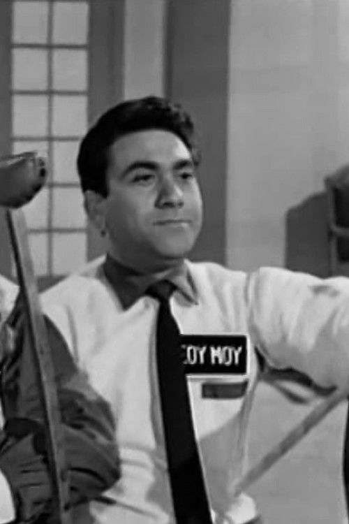 Giorgos Gialouris as Loukas (Anthoula's brother #6)