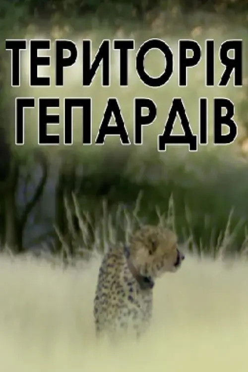 Man, Cheetah, Wild poster