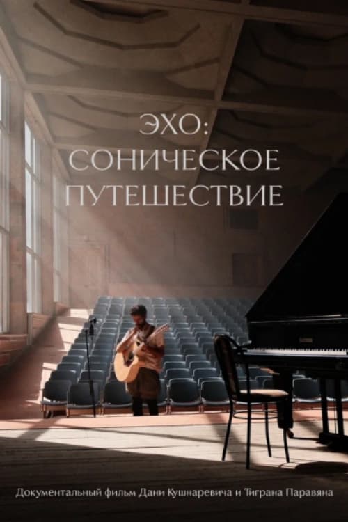 Echo: A Sonic Journey poster