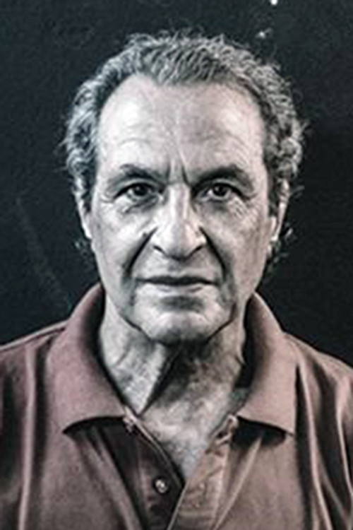 Alexandros Tsakiris as Officer