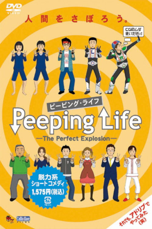 The Perfect Explosion