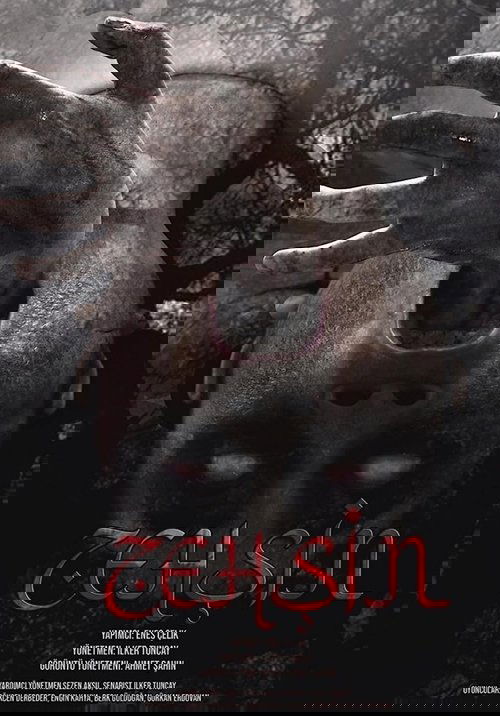 Zehşin Cin-i Musallat