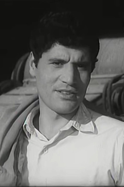 Pandi Siku as Zyberi, shoferi i taksise