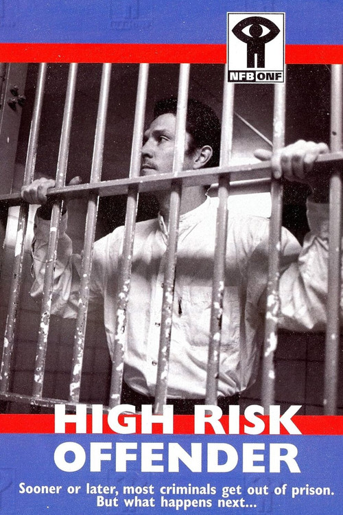 High Risk Offender poster