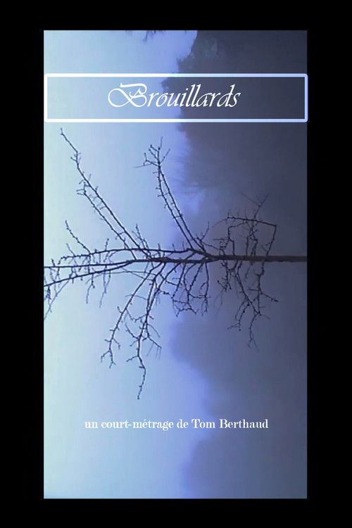 Brouillards poster